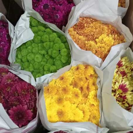 Flowers
